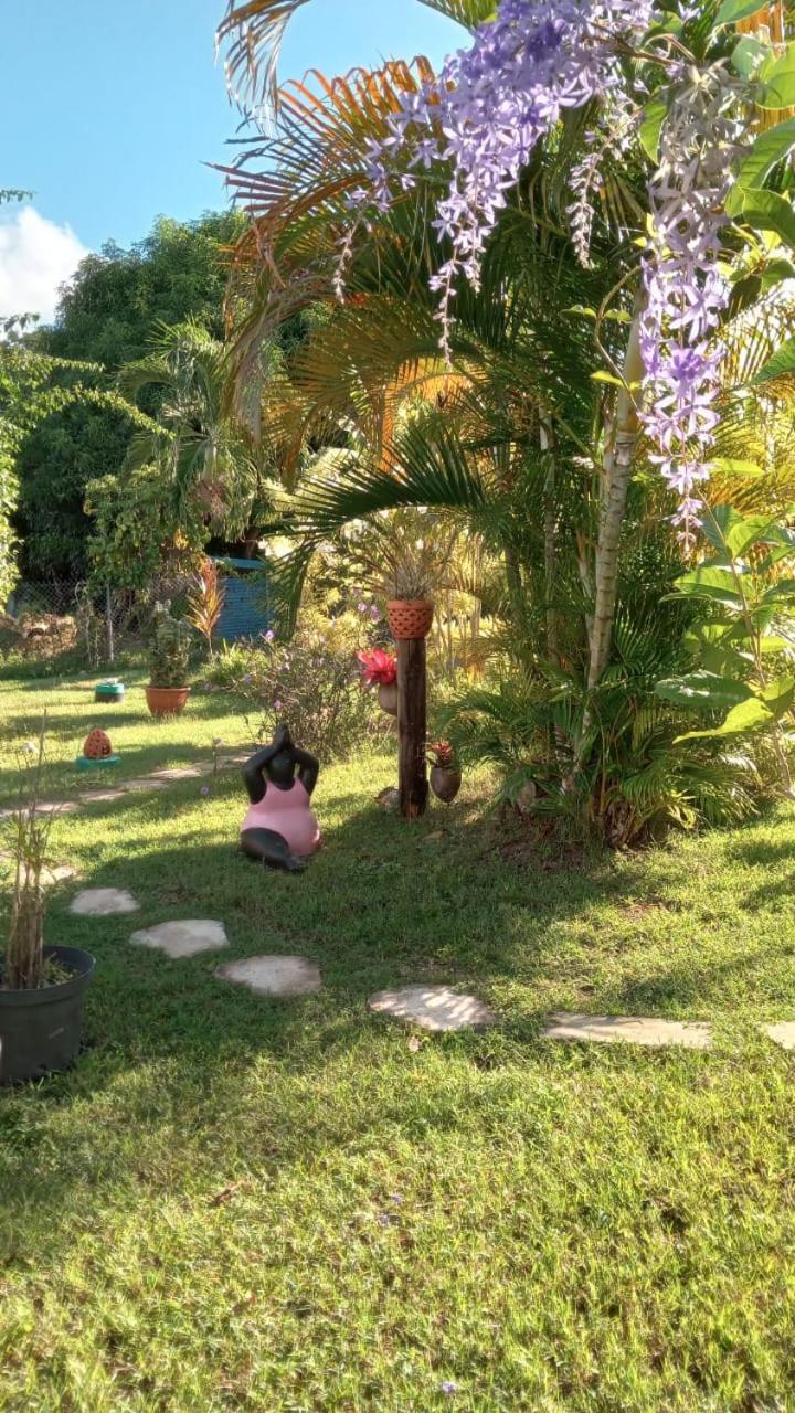 Gite Cajou Dans Jardin Tropical Ventile A Sainte-Anne Eksteriør bilde